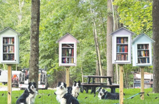The Wilcox family’s border collies at Mrs. Wilcox’s “Little Library in the Woods.” Photo by Pam Wilcox.