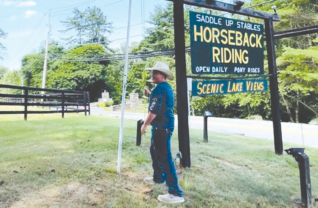 Saddle Up Stables, Diamond Point.