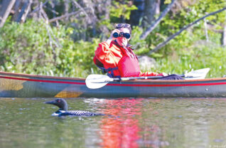 Counting loons. Photo courtesy Adirondack Center for Loon Conservation